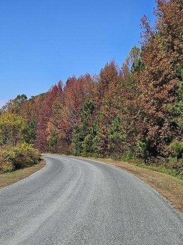 Fall on the East Coast