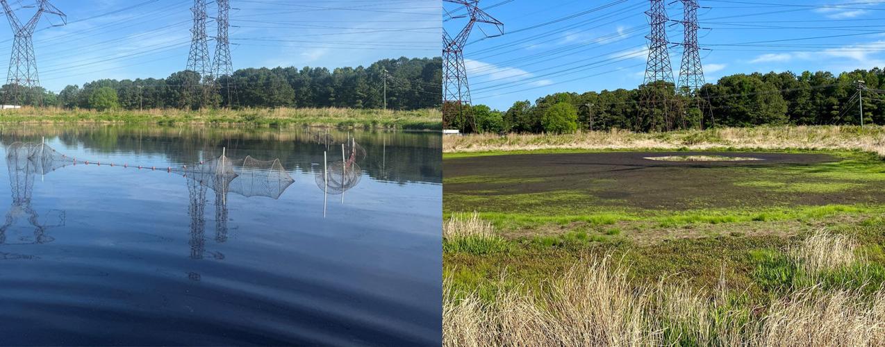 Drought and Aquatic Wildlife