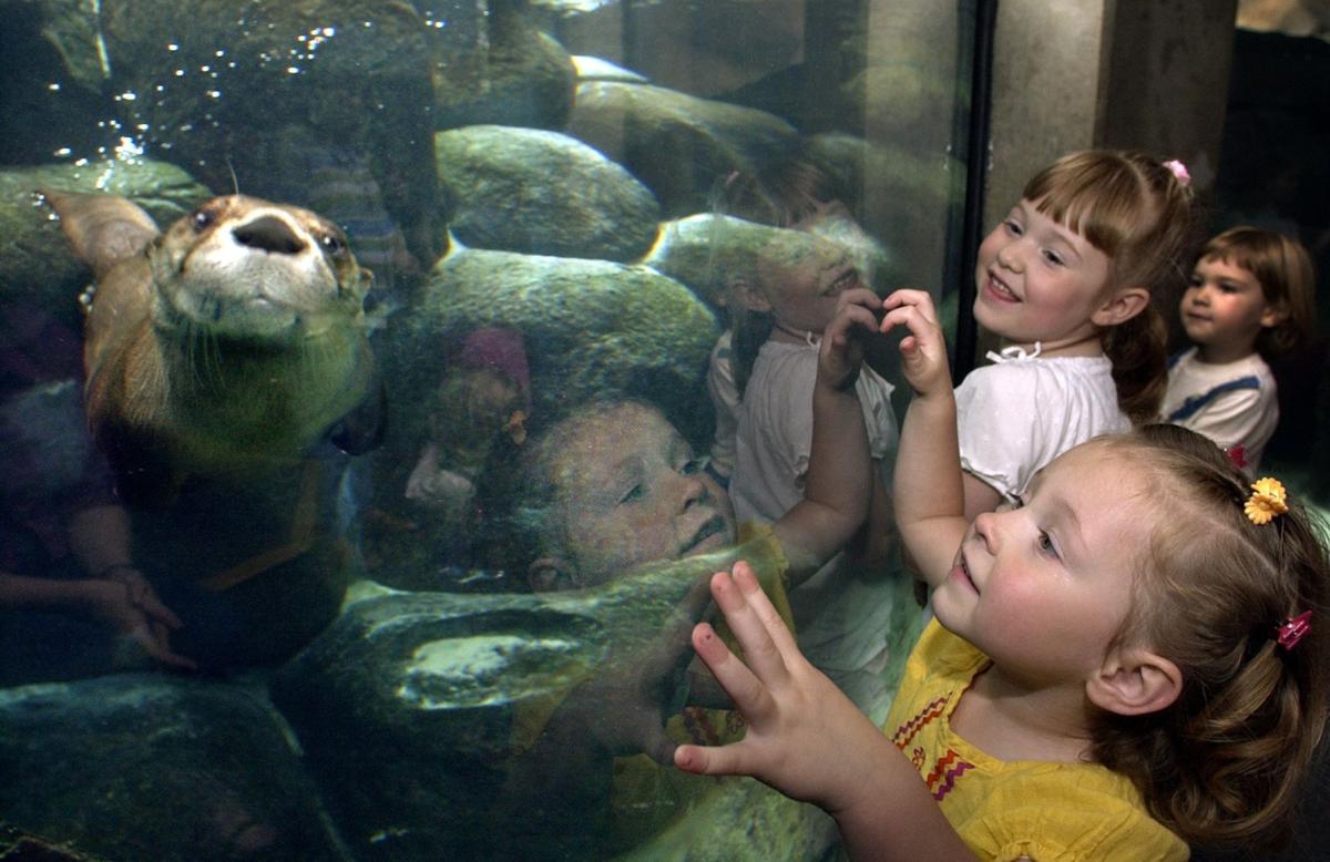 Pandora the otter dies at Maymont Richmond Local News