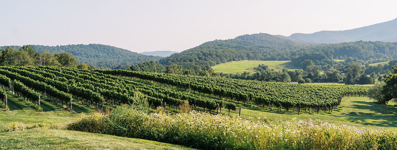 Pippin Hill Main