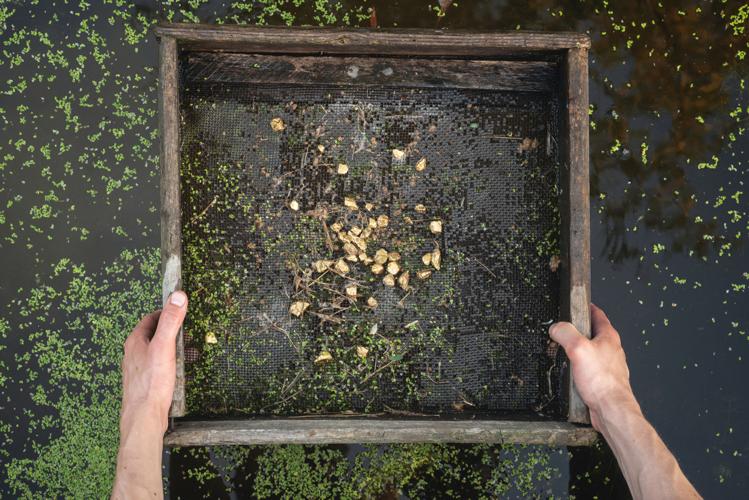 Gold mining