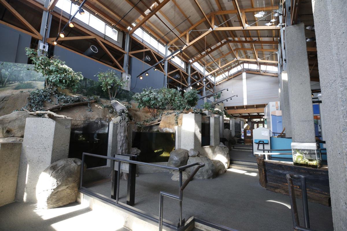 Maymont Nature Center closing Nov. 1 for 2.3 million renovation