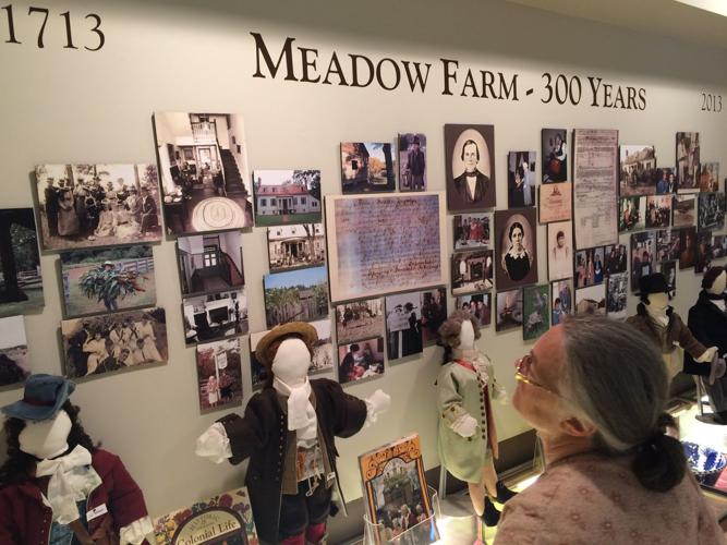 Discover Richmond Meadow Farm Museum at Crump Park