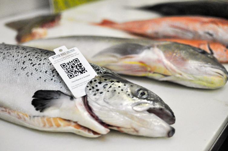 43 percent of salmon samples mislabeled, study says