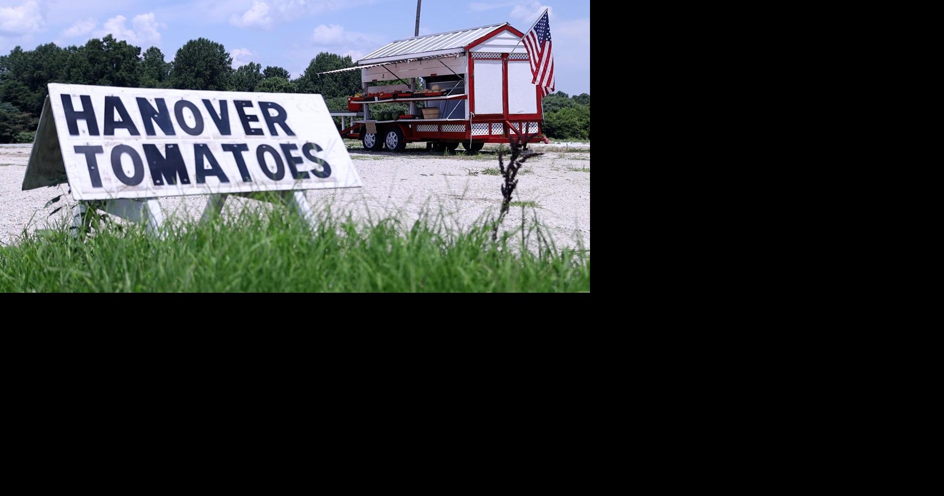 Hanover's agriculture to be on display at Hanover Tomato Festival