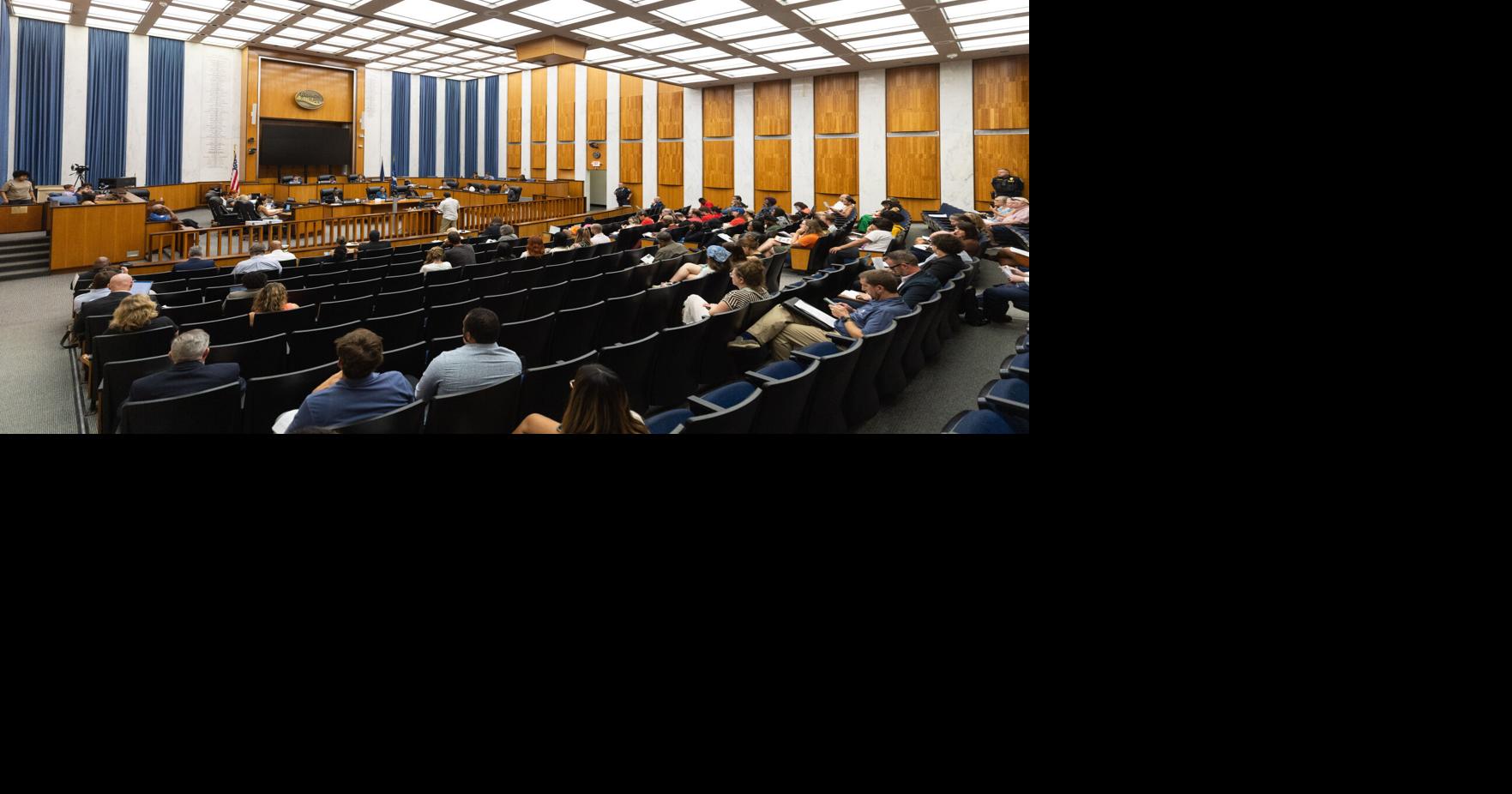 No comments, no questions: how critics say City Council’s procedures can hamper public debate