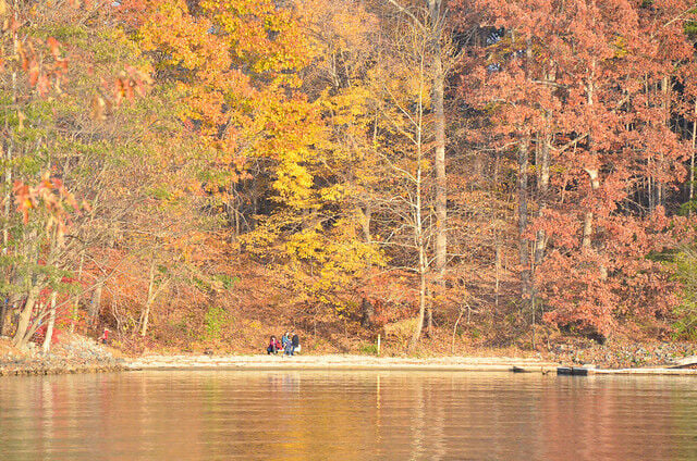 Favorite autumn hikes in Virginia