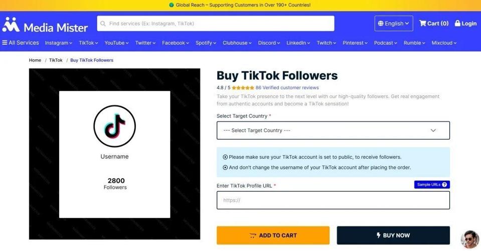 mediamister-buy-tiktok-followers_hvwt0o.jpg