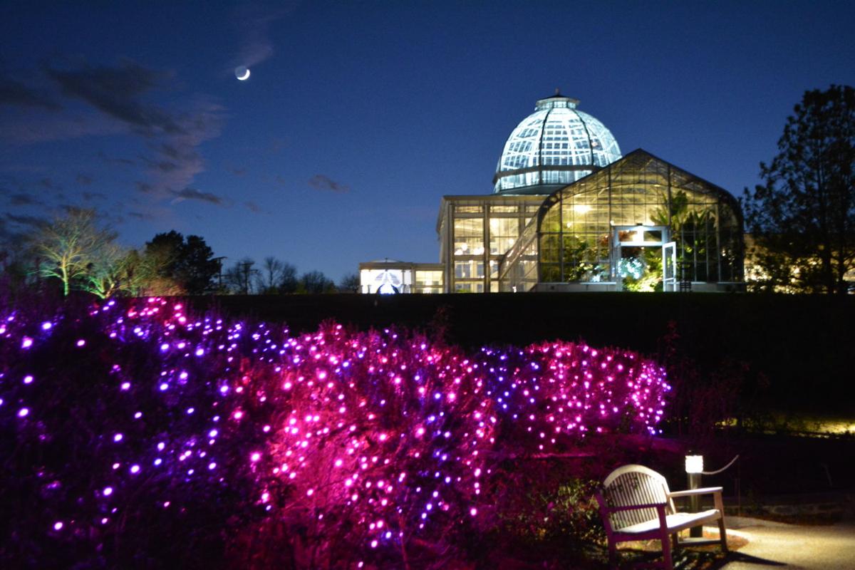 GardenFest of Lights at Lewis Ginter | | richmond.com