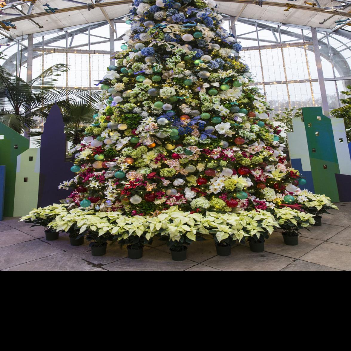 Marsha Mercer Column Oh Christmas Tree Real Or Artificial Columnists Richmond Com
