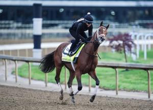 2026 Kentucky Derby contender Renegade during a morning training session during Kentucky Derby week at Churchill Downs. April