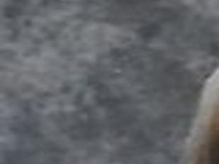 Ligon Barbara Obituaries Richmond Com