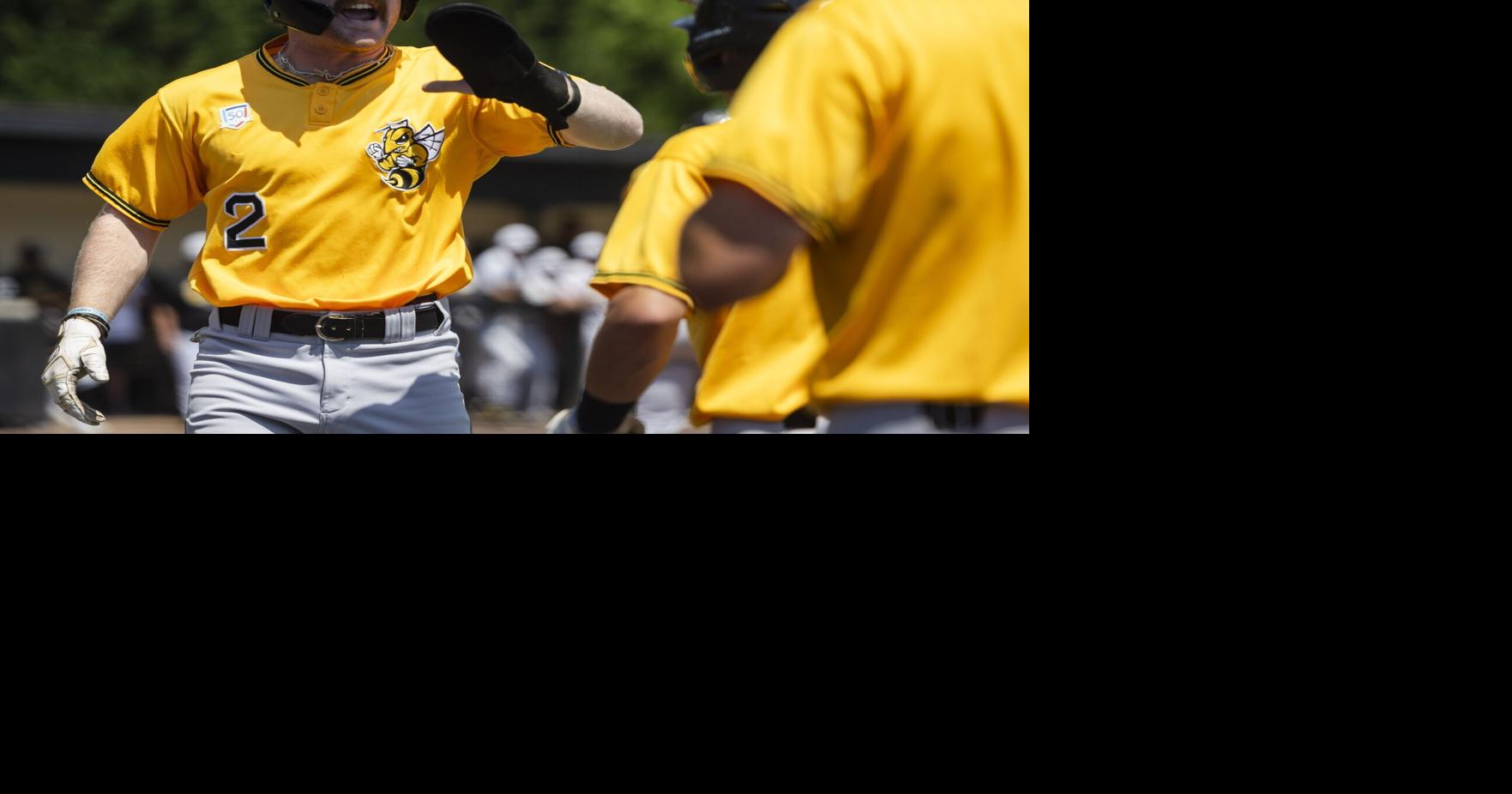 AI selects D-III baseball at-large qualifiers. ODAC, RMC believe system ...