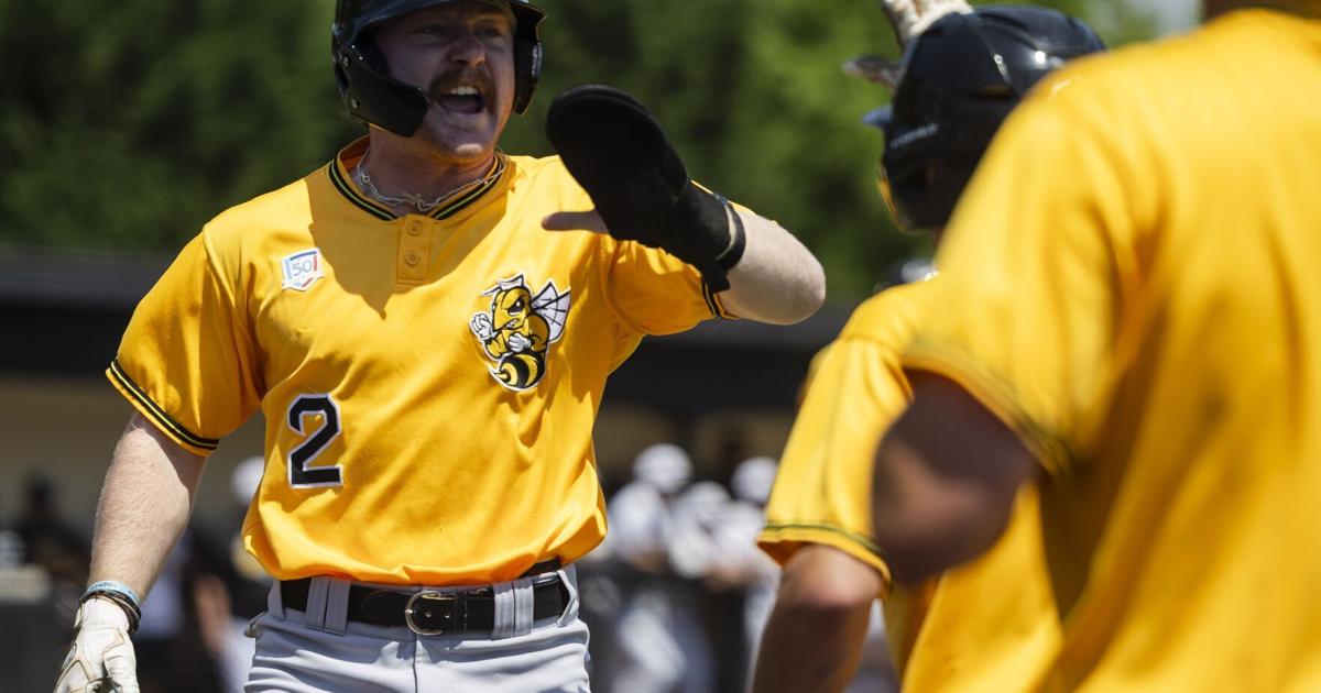 AI selects D-III baseball at-large qualifiers. ODAC, RMC believe system ...