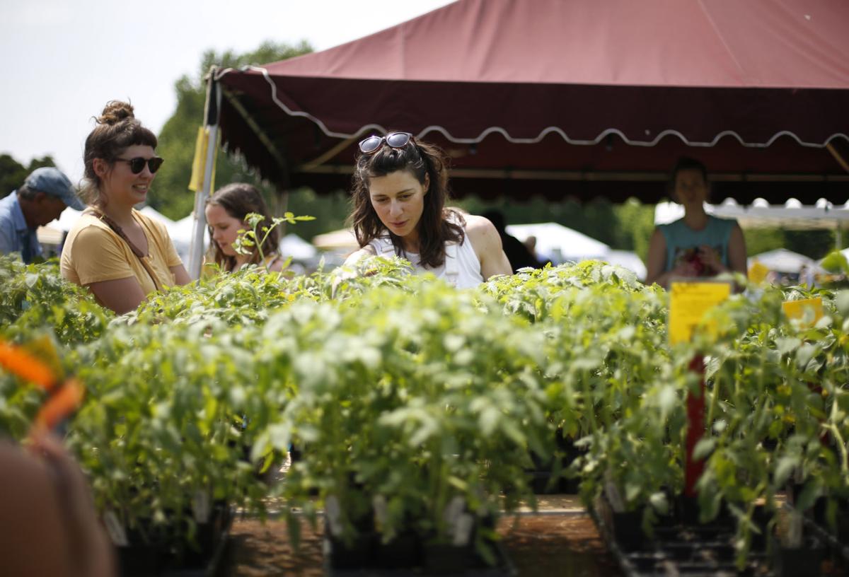 PHOTOS Herbs Galore & More plant sale at Maymont