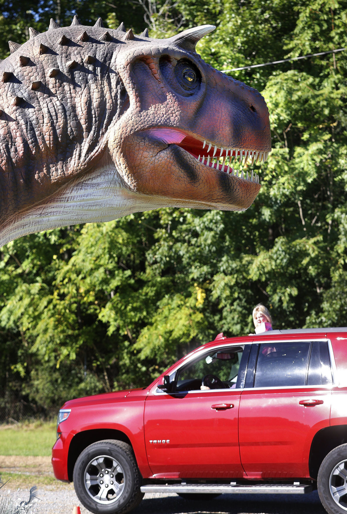 20210925_MET_DINOS_AWE01