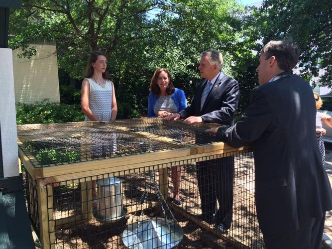 Hanover girl, chicken expert, gets to meet the first chickens