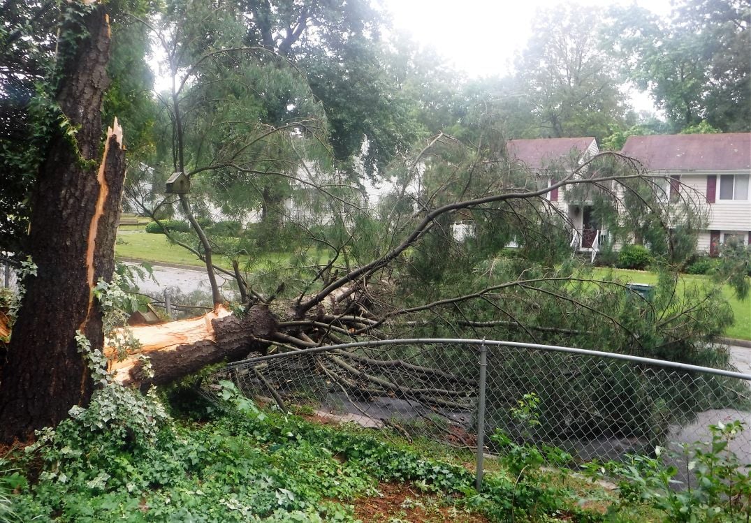 Photos: 150 Photos Of Damage From June 17 Storms 