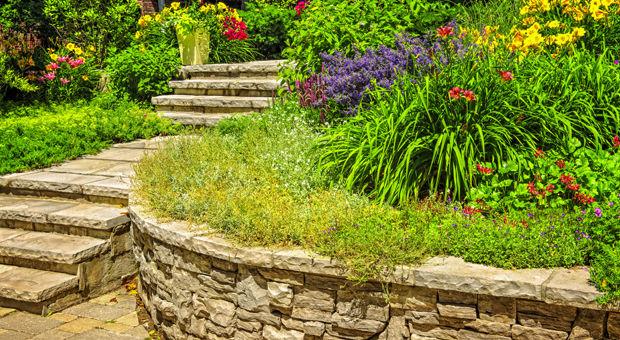 Rtd The Best Lawn Services Landscaping 2018 Rtd The Best Lawn Services Landscaping 2018 Service Richmond Com