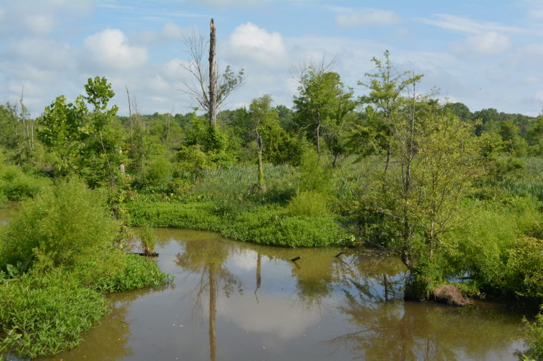 Henrico to Add Park Accesses Along Tuckahoe Creek Recreation