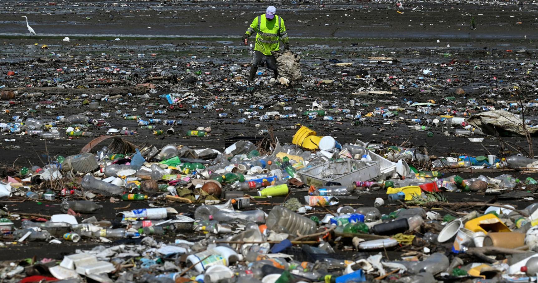 Commentary: Banning foam plastics won't bankrupt restaurants - Vimarsana News