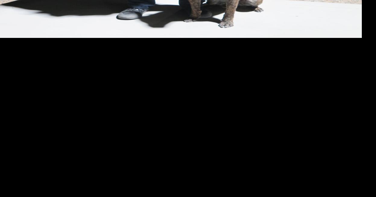 Ridgecrest police An officer, K9 and reporter hit the streets last