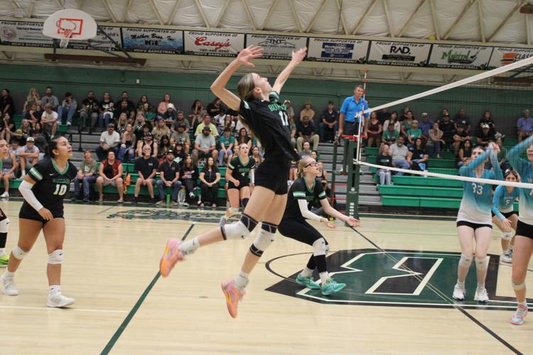 Burros volleyball wins seventh straight Sports