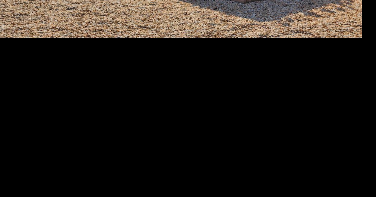 Ridgway Public Library garden looked beautiful for National Library