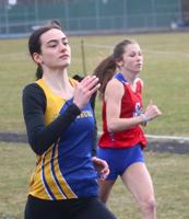 Stauffer triples at County meet