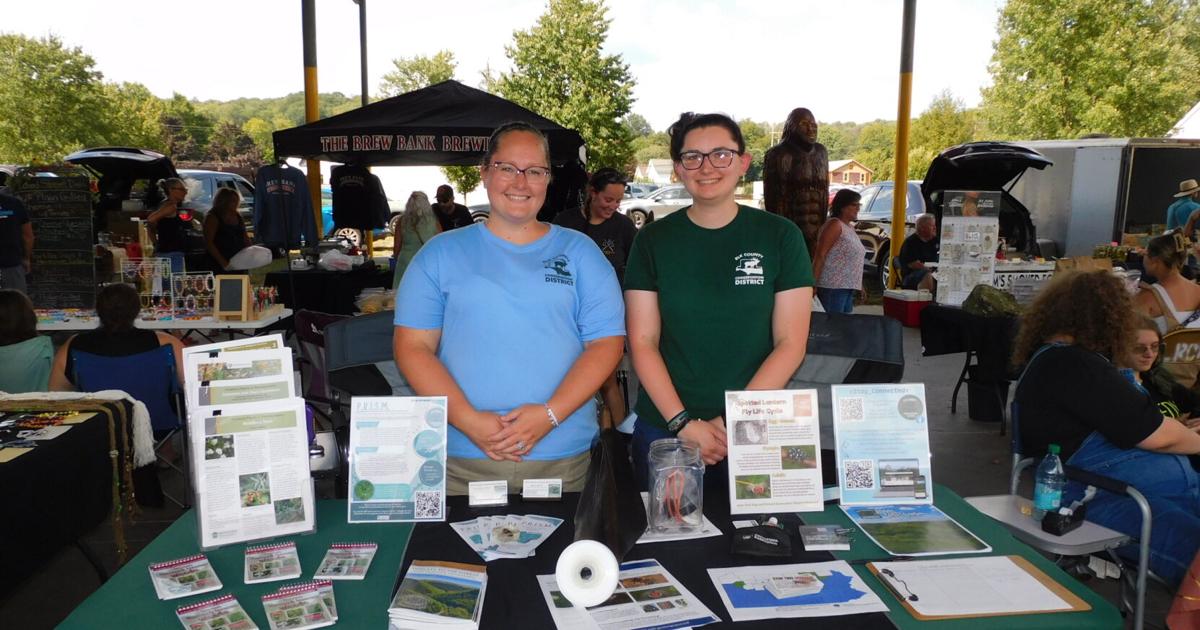 Summer Fun Fest at Ridgway Farmer’s Market