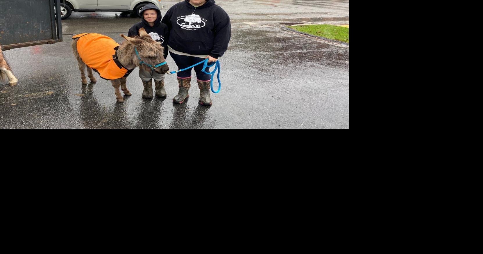 The Legend of the Donkey comes to Ridgway | News | ridgwayrecord.com