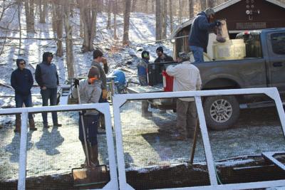 Fish Stocking