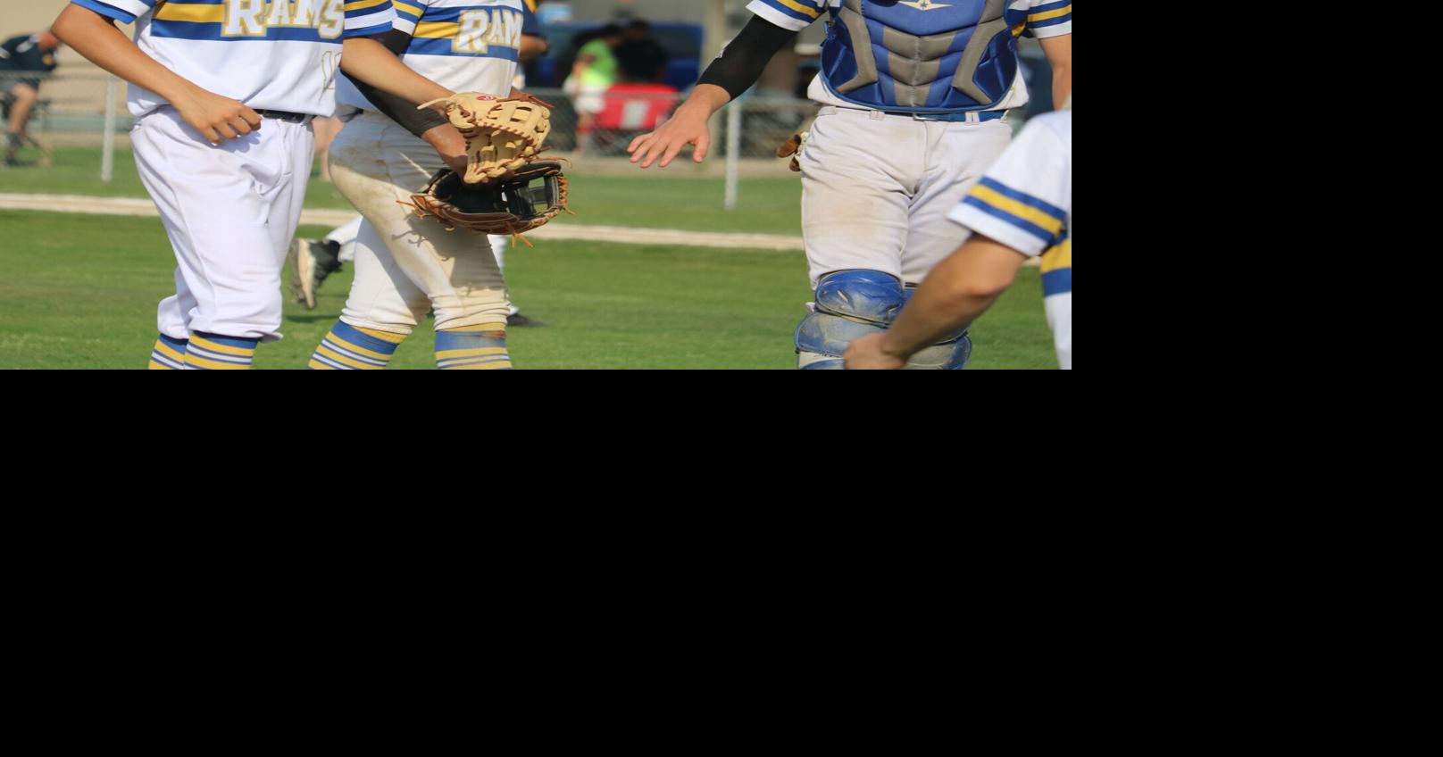 Rams lone D-9 baseball team moving on, DCC and Punxy advance in ...