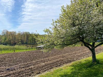 A beautiful morning on the Earlyville Farm in Kersey.