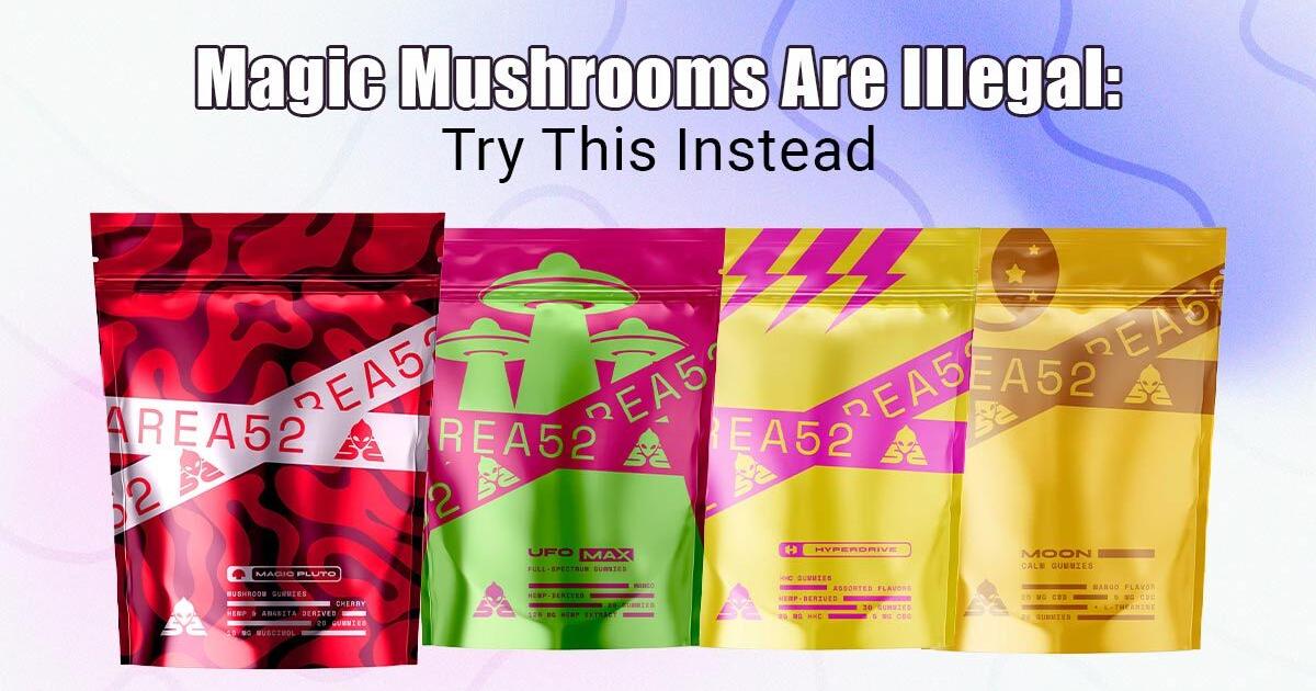 The Best Magic Mushroom Gummies | Buy Online (2024) - Vimarsana News