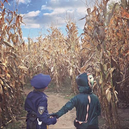 Petals & Plows offers fun for all ages News