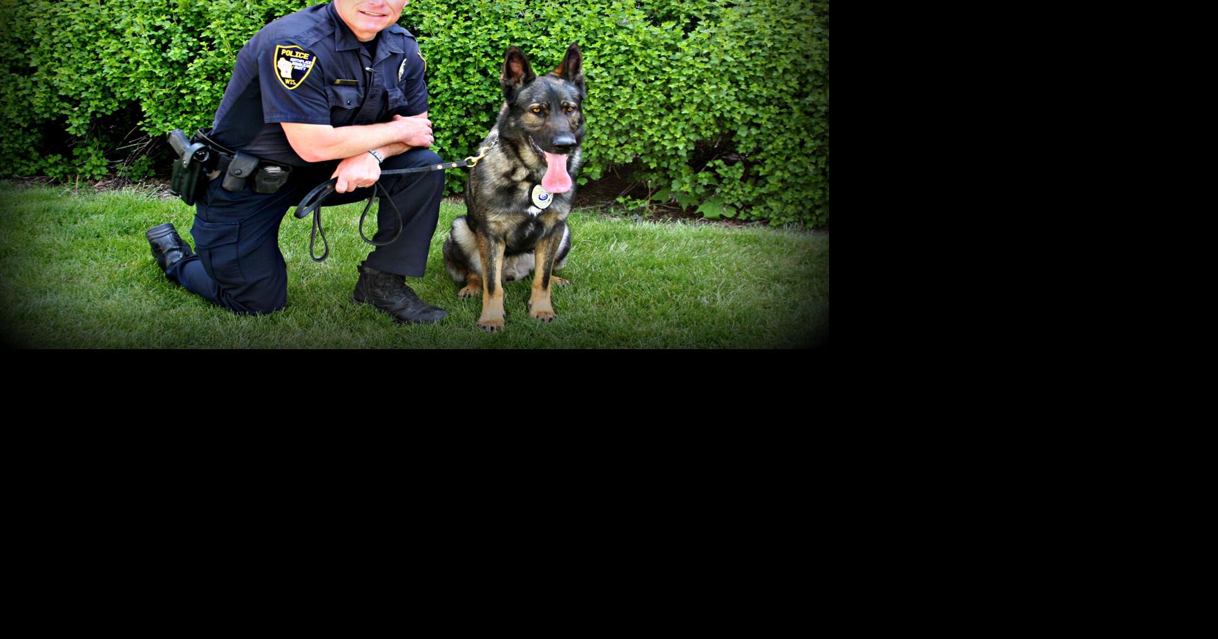 K-9 Rony over the years | | riponpress.com