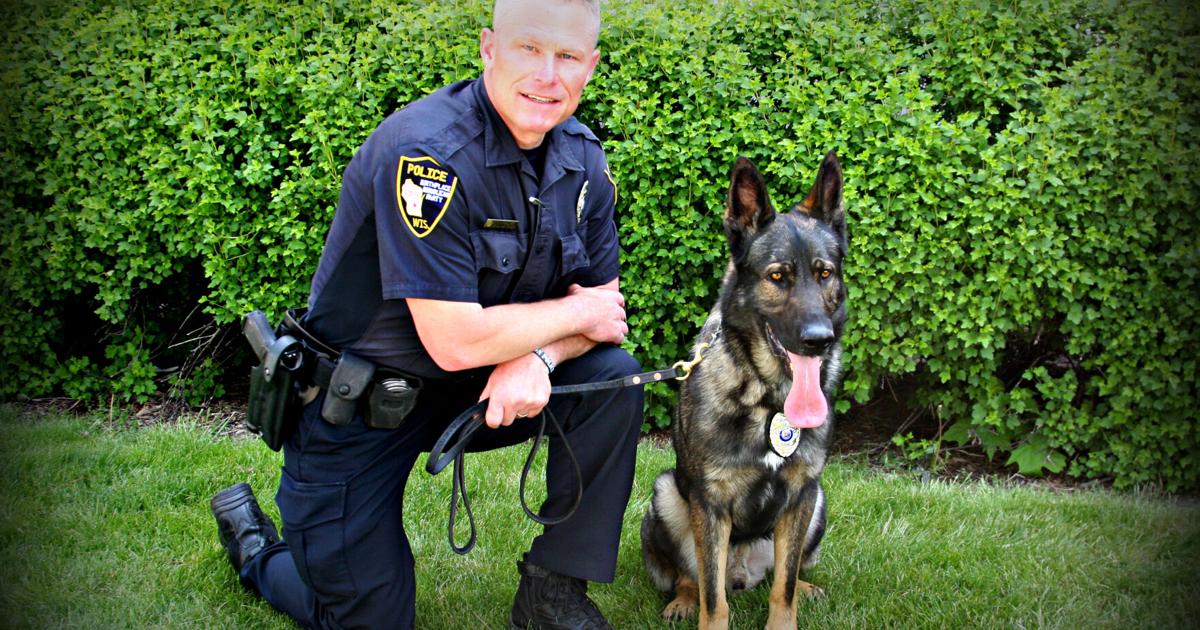 Ad Rony K-9 Rony over the years | | riponpress.com