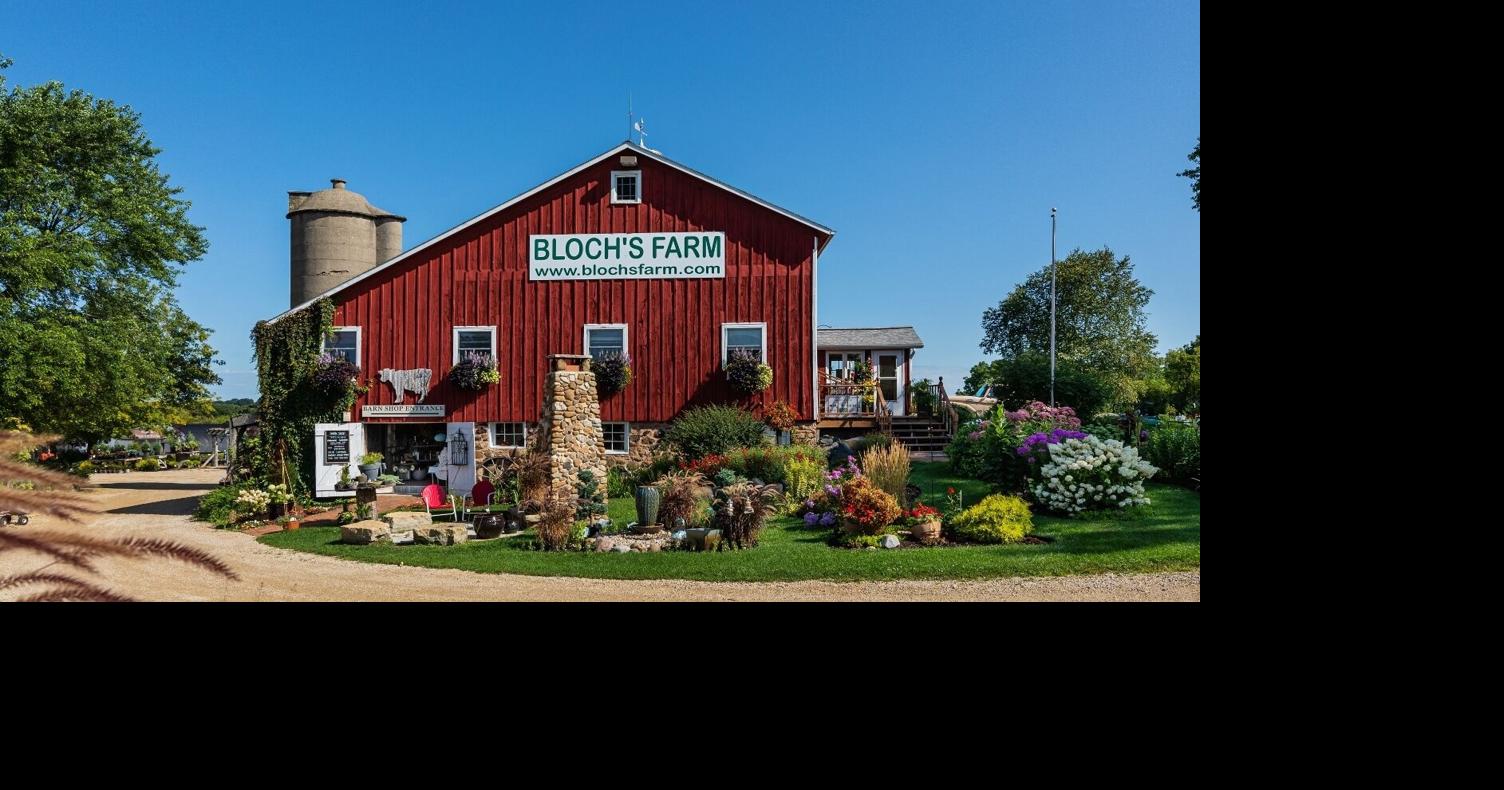 Bloch’s blossoms during tough time | Local News | riponpress.com