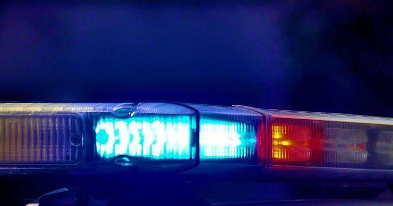 Pickett man dies following collision with deer, another vehicle in township of Ripon - Vimarsana News