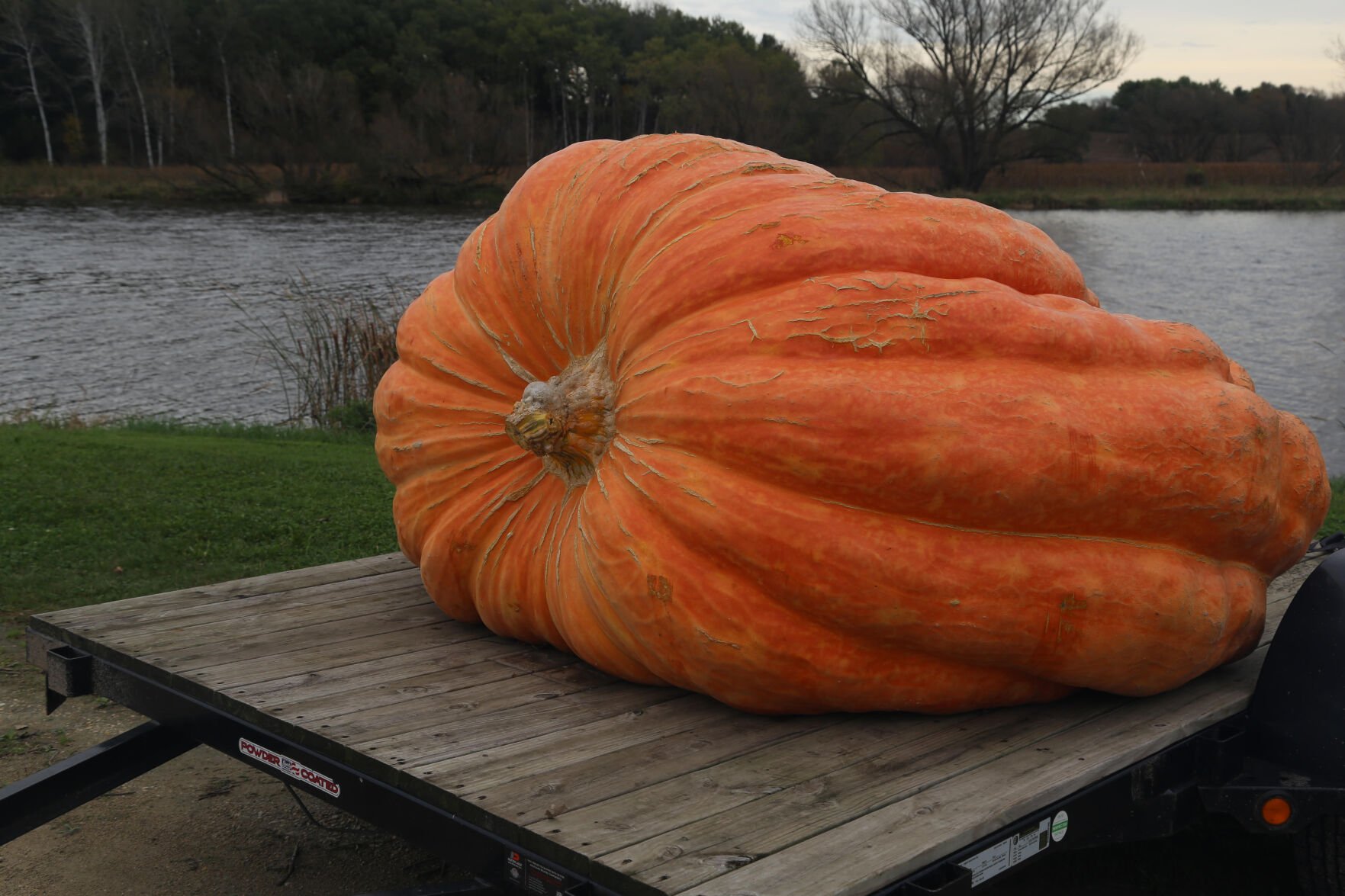 It's just a hobby': Markesan man grows giant, 2,520 pound pumpkin