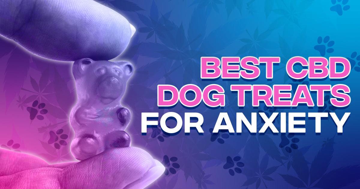 Best CBD Dog Treats for Anxiety: Top Picks for Stressed-Out Pups