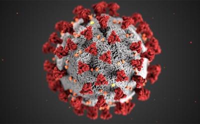 Coronavirus image