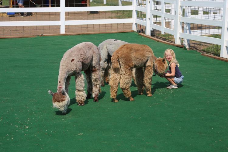 Eagle Eye Farm a farm fresh success Local News