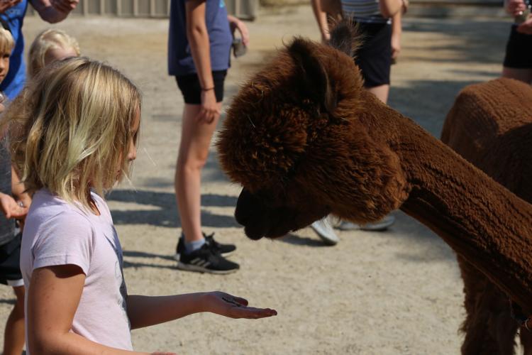 Eagle Eye Farm a farm fresh success Local News