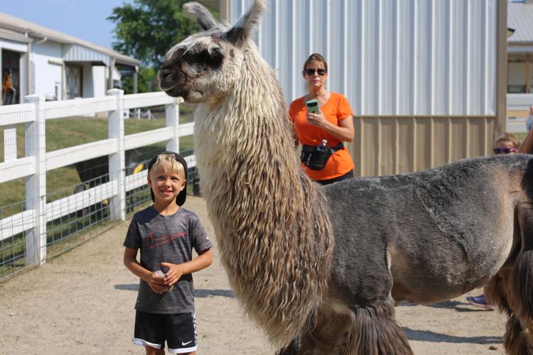 Eagle Eye Farm a farm fresh success Local News