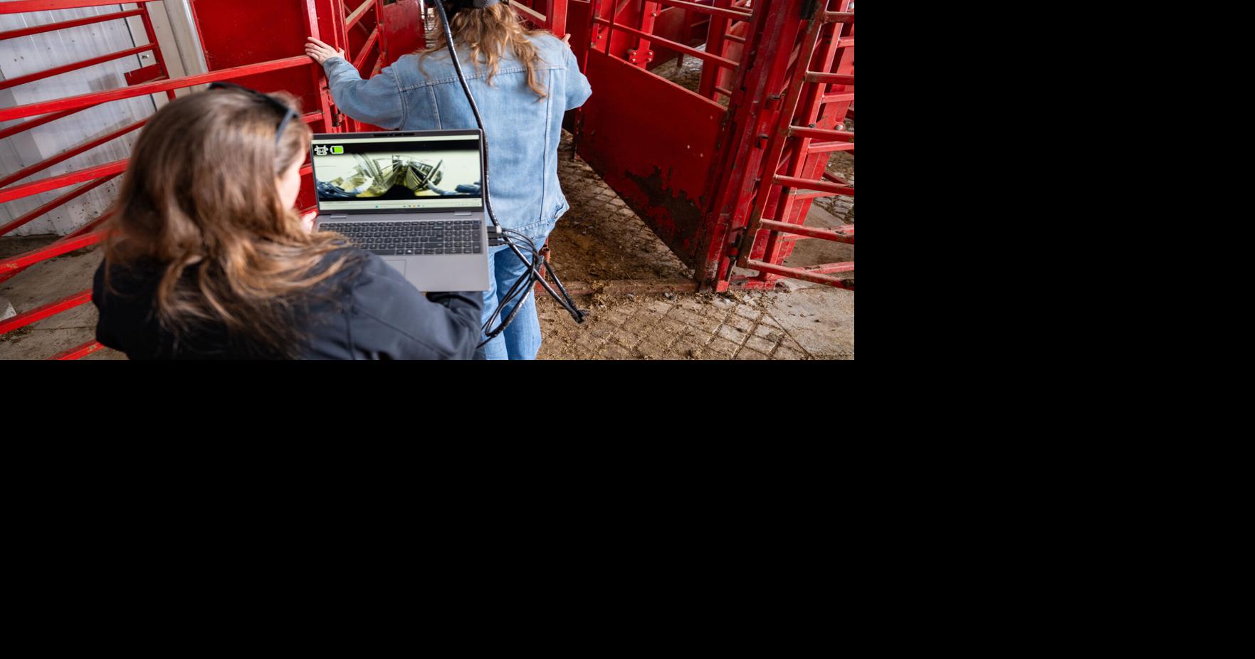 UWRF’s Humane Handling Institute the first in U.S. to use augmented reality goggles for animal handling training