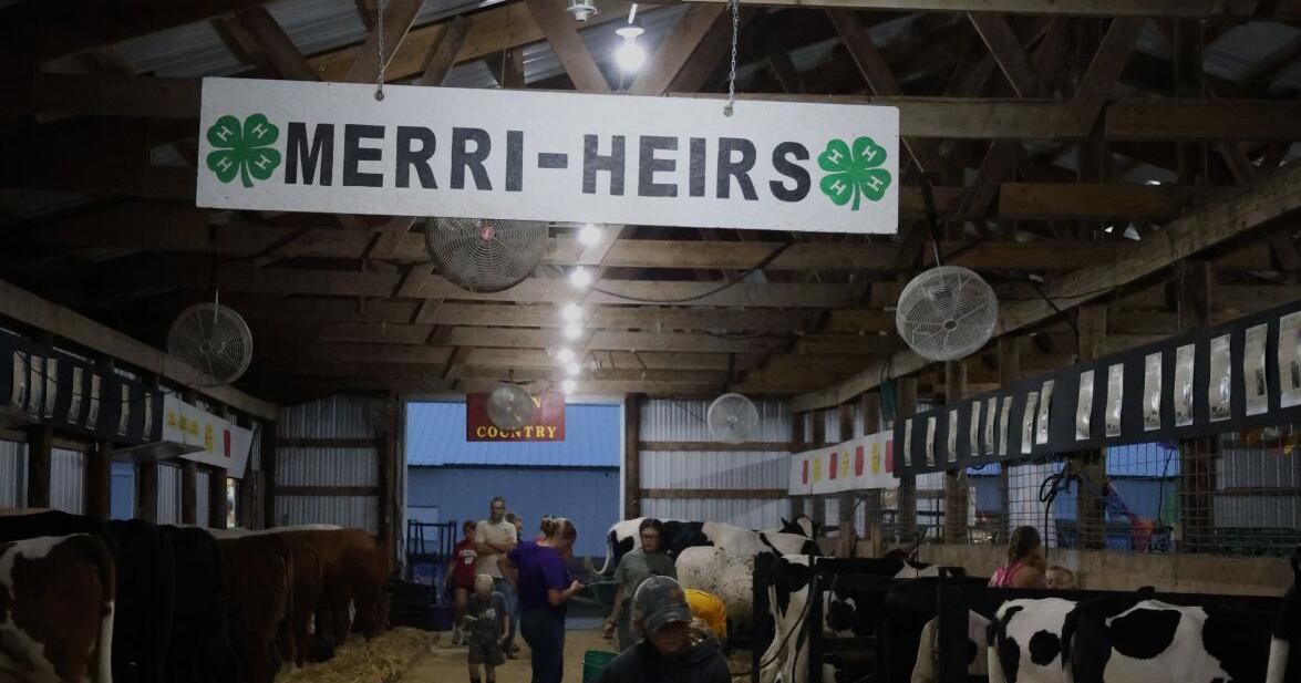 From top to bottom, Head, Heart, Hands and Health makes up important part of Pierce County Fair
