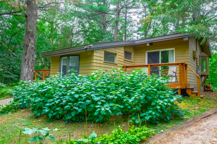 PHOTOS Beautifully updated house on St. Croix River for sale Real