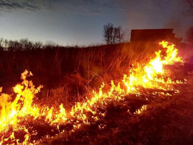 Natural connections fire